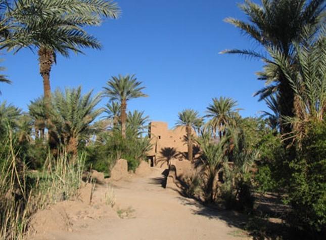 Hotel Kasbah Berbere Ouriz Agdz Exterior foto